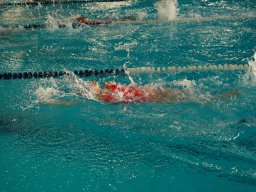 Photos Saison 2024-2025 &raquo; Mini Neuf Cube #4 - Parc Aquatique du Raincy